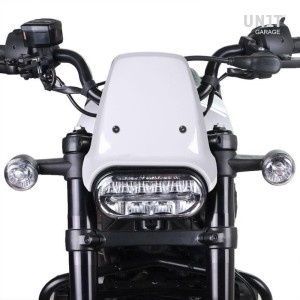 Pantalla hd sportster s 1250