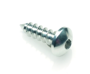 Tornillo rosca chapa Plata...