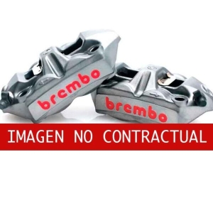 RECAMBIO PINZA 920B69066