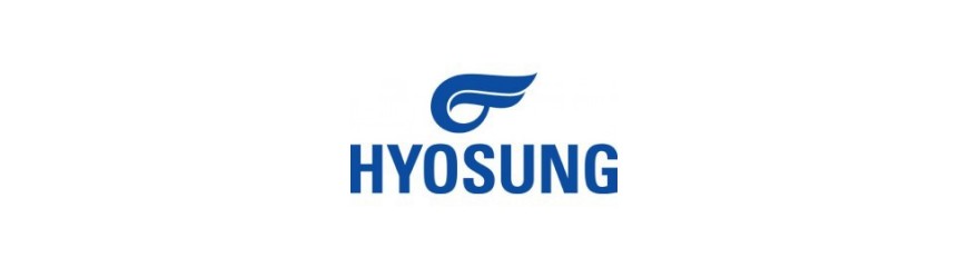 Cupulas PUIG para motos Hyosung